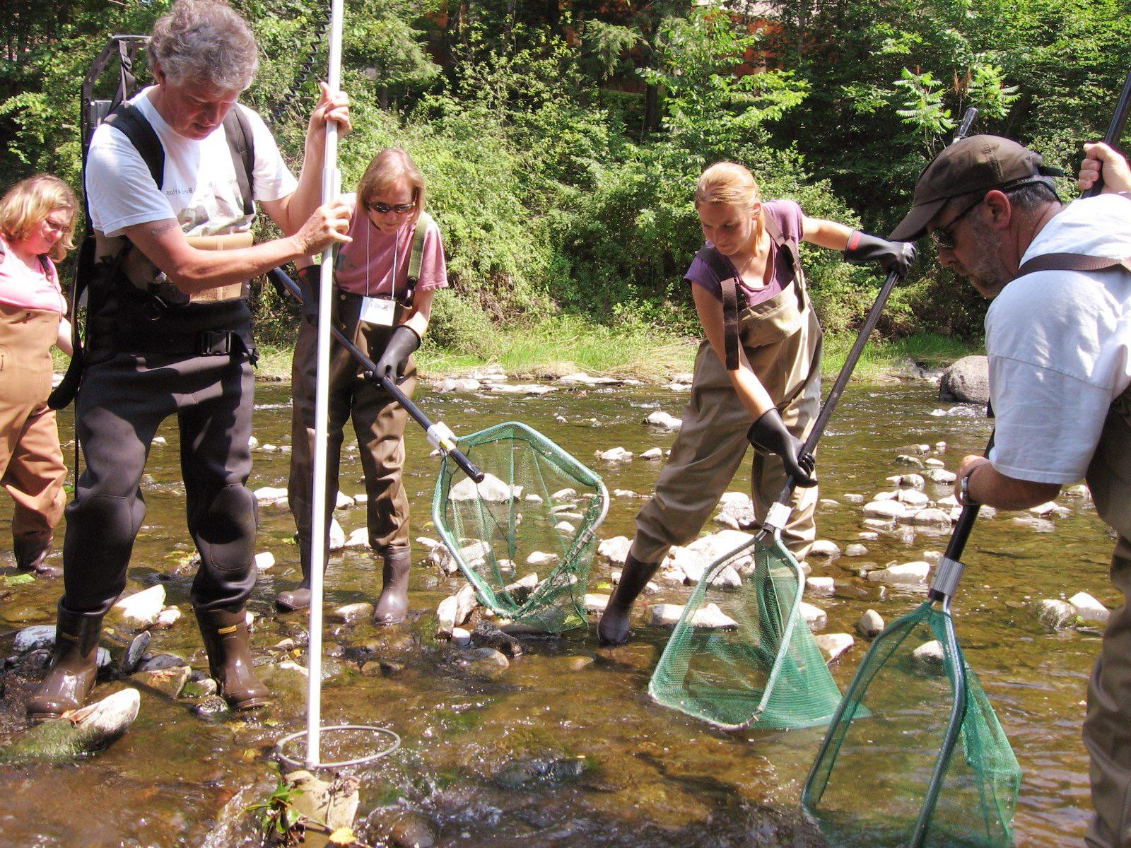 Keystone College faculty and students use nets in creek